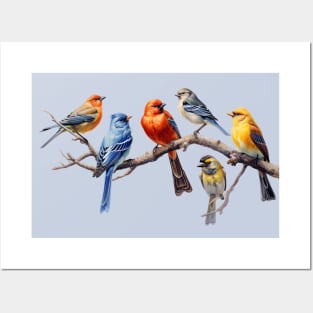 Backyard Birds Bird Watching Watcher on a Branch Birder Posters and Art